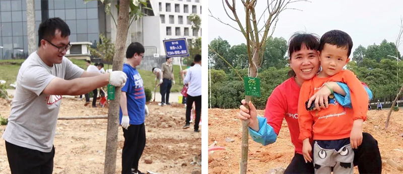 1554367253428510.jpg 3z.jpg