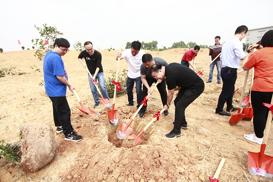 1554267095845144.jpg 2.jpg